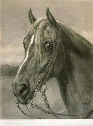 A Monsieur le Colonel Cody